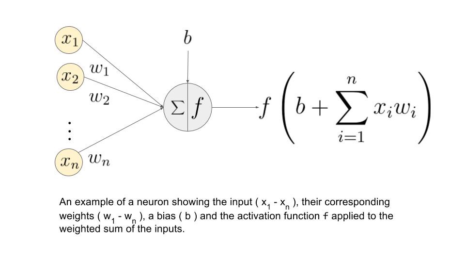 big_neural_formula